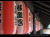 IMG 0509s