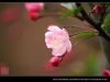 IMG 2021s