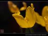 IMG 2056s