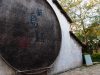 IMG 6954